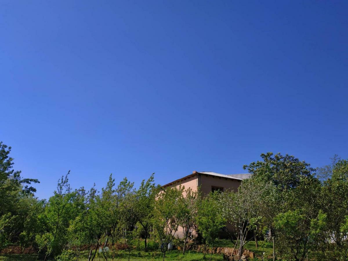 צקאלטובו Сибиряк מראה חיצוני תמונה